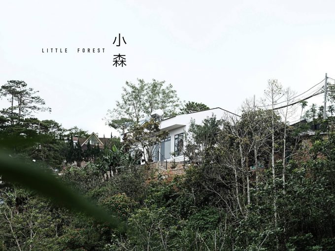 Little Forest – Homestay có sân vườn ở Đà Lạt mới toanh cho bạn
